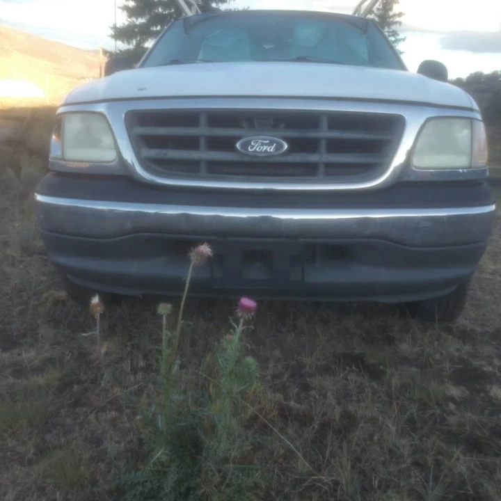 2000 Ford F-150 10th Gen - Image 5 of 6