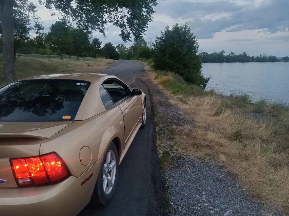 2000 Ford GT 1st Gen - Image 3 of 10