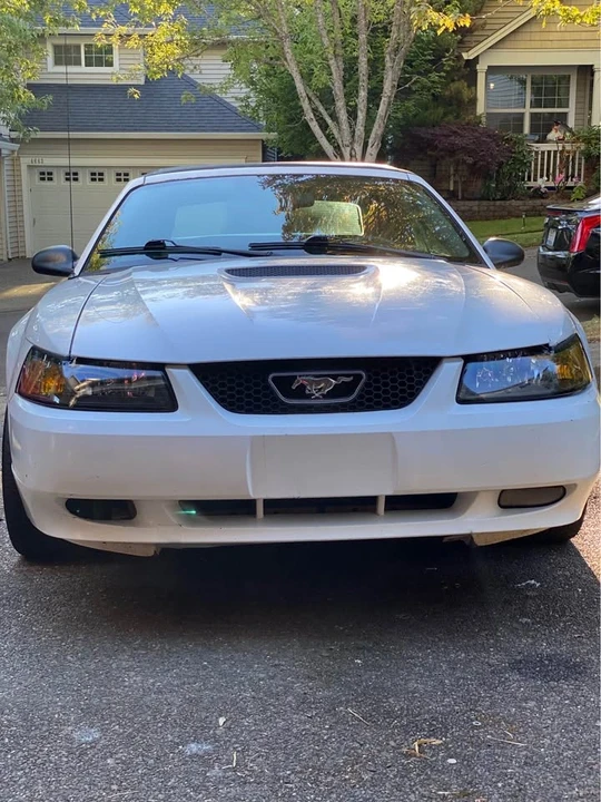 2000 Ford SN95 Mustang - Image 5 of 8