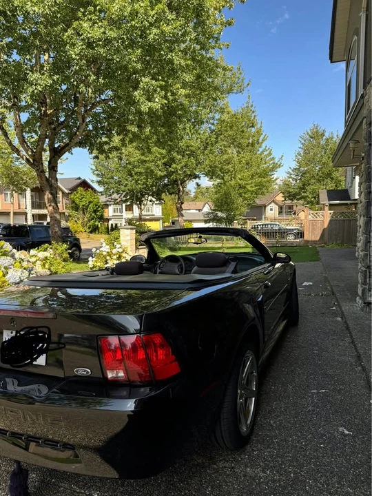 2000 Ford SN95 Mustang - Image 6 of 9