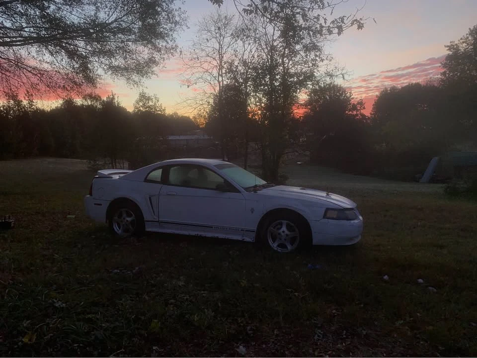 2000 Ford SN95 Mustang - Image 6 of 6
