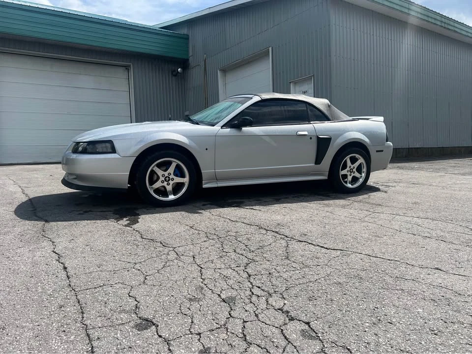 2000 Ford SN95 Mustang - Image 8 of 15
