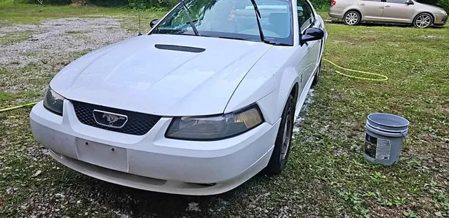 2000 Ford Mustang
