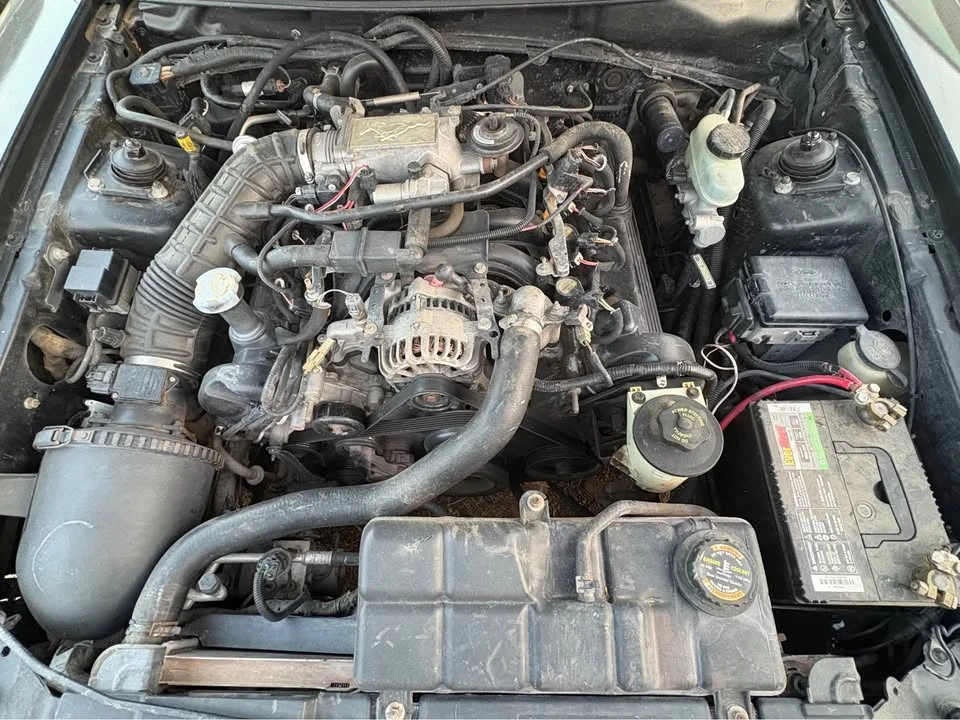 2000 Ford SN95 Mustang - Image 12 of 12