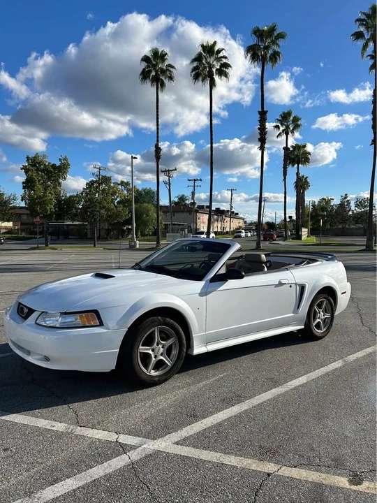 2000 Ford SN95 Mustang - Image 8 of 10