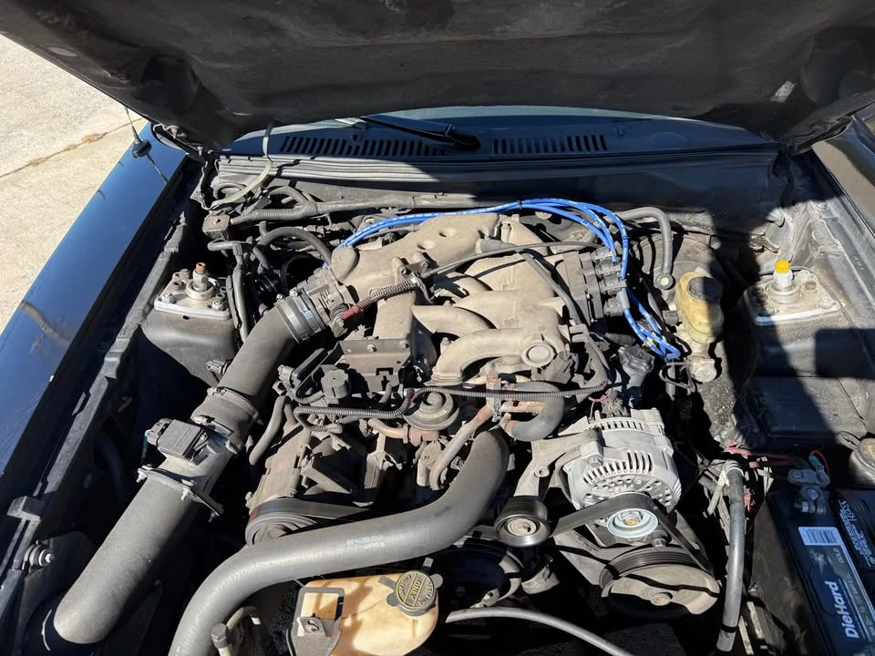 2000 Ford SN95 Mustang - Image 12 of 12