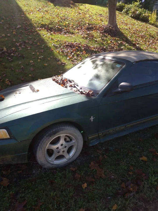 2000 Ford SN95 Mustang - Image 3 of 3