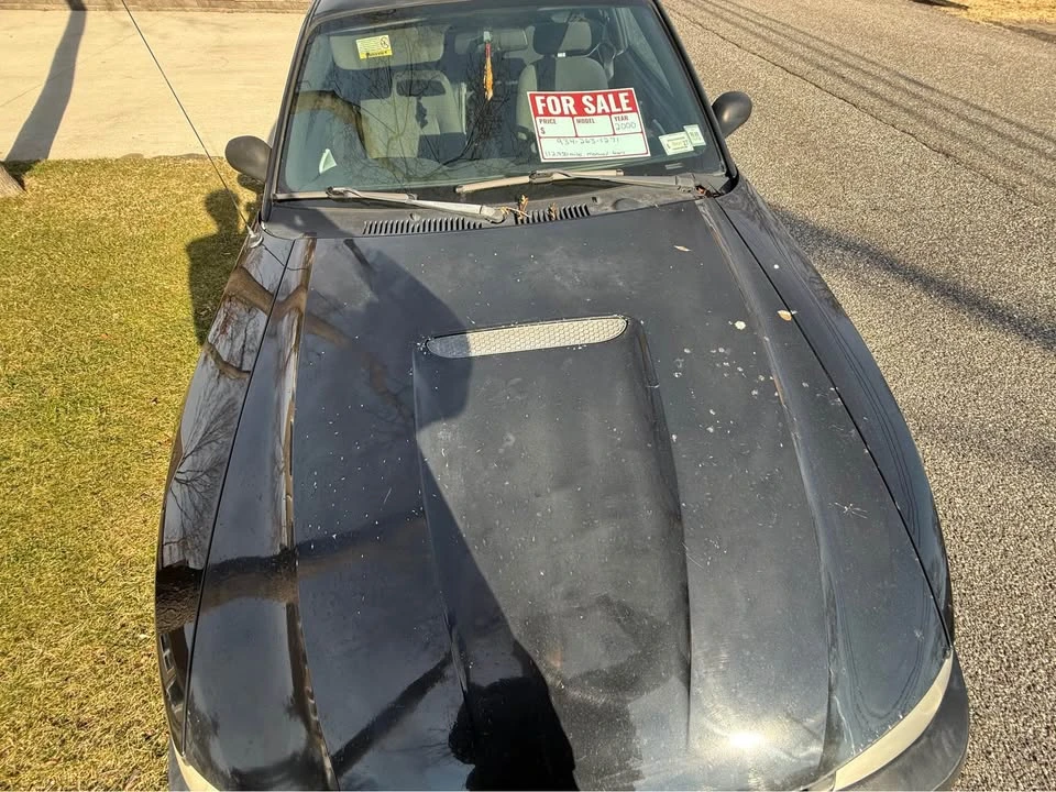 2000 Ford SN95 Mustang - Image 10 of 19