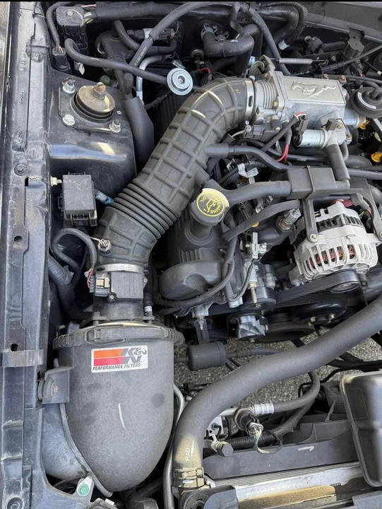2000 Ford SN95 Mustang - Image 8 of 20