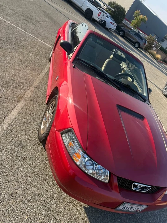 2000 Ford SN95 Mustang - Image 15 of 15