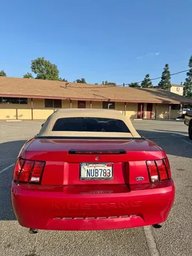 2000 Ford Mustang Convertible