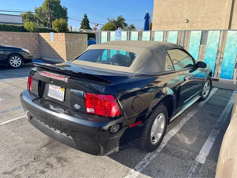 2000 Ford Mustang Convertible