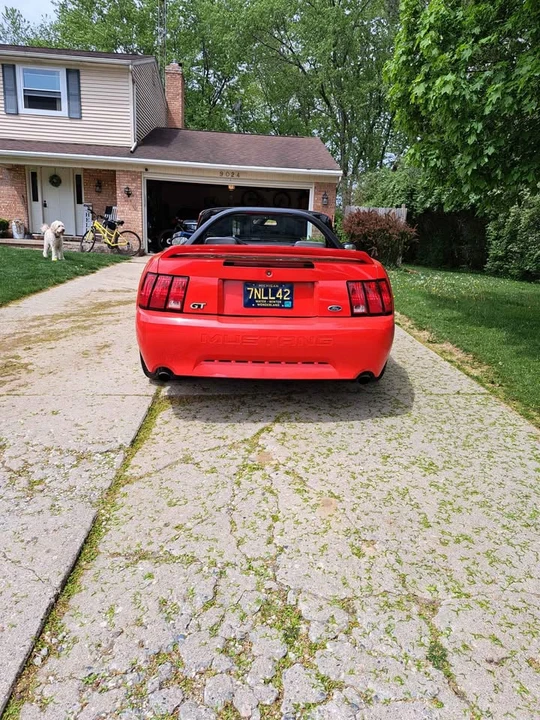 2000 Ford SN95 Mustang - Image 5 of 19