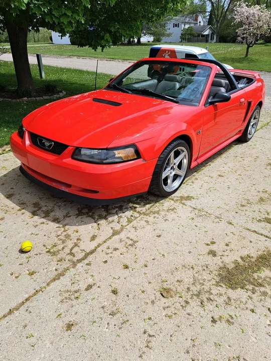 2000 Ford SN95 Mustang - Image 2 of 19