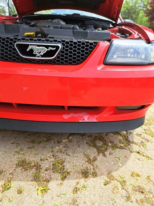 2000 Ford SN95 Mustang - Image 13 of 19