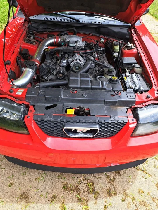 2000 Ford SN95 Mustang - Image 15 of 19