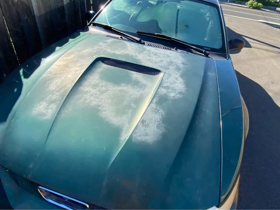 2000 Ford SN95 Mustang - Image 3 of 7