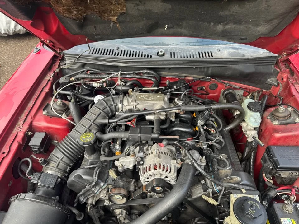 2000 Ford SN95 Mustang - Image 12 of 14