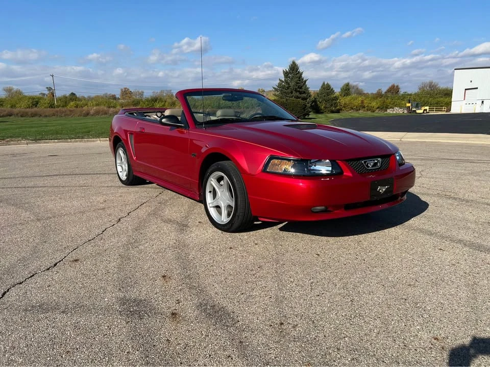 2000 Ford SN95 Mustang - Image 15 of 15