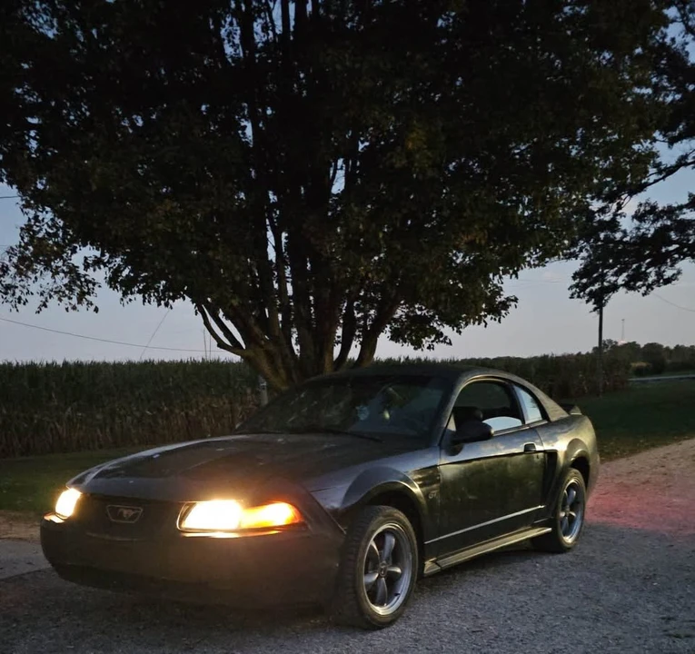 2000 Ford SN95 Mustang - Image 5 of 5