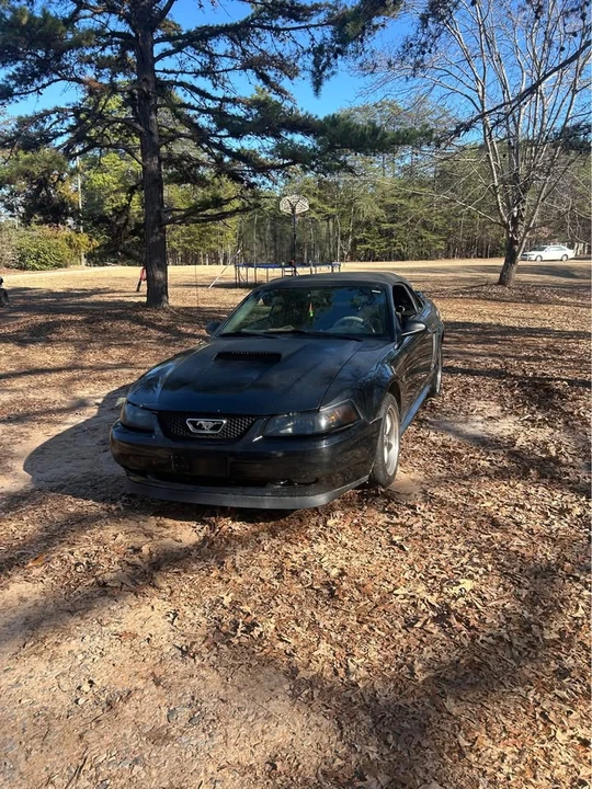2000 Ford SN95 Mustang - Image 9 of 14