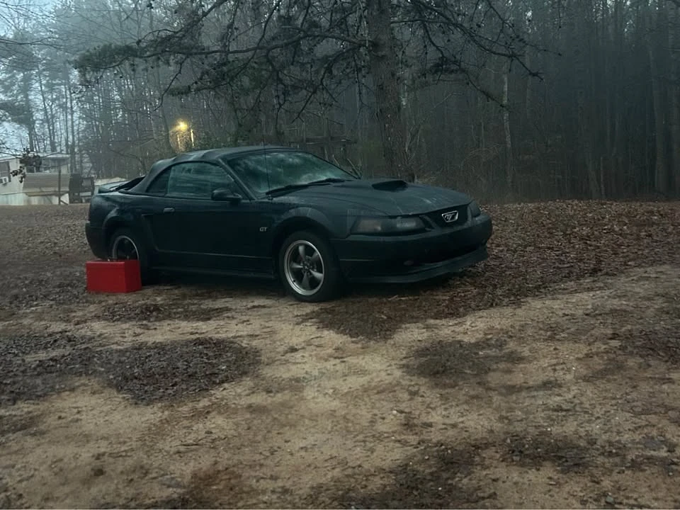 2000 Ford SN95 Mustang - Image 5 of 14
