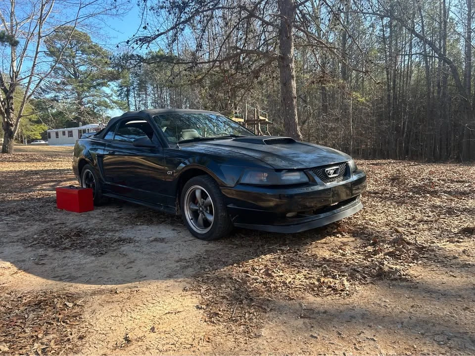 2000 Ford SN95 Mustang - Image 6 of 14