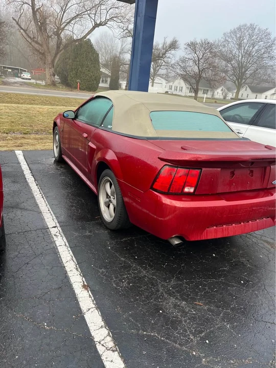 2000 Ford SN95 Mustang - Image 11 of 11