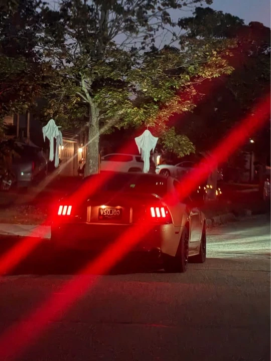 2000 Ford SN95 Mustang - Image 2 of 5