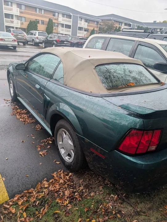 2000 Ford SN95 Mustang - Image 5 of 5