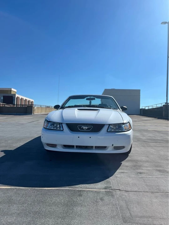 2000 Ford SN95 Mustang - Image 7 of 10