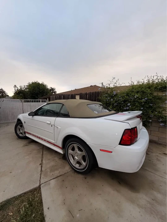 2000 Ford SN95 Mustang - Image 19 of 20