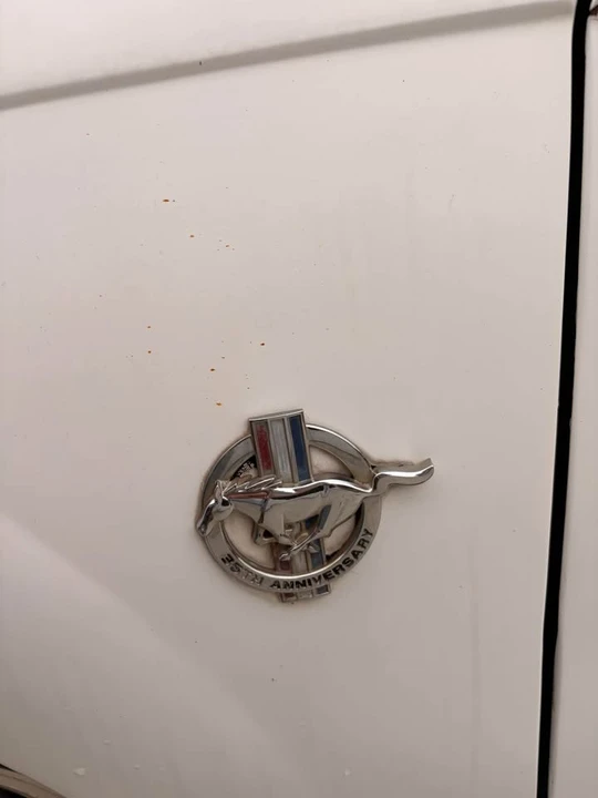 2000 Ford SN95 Mustang - Image 11 of 20