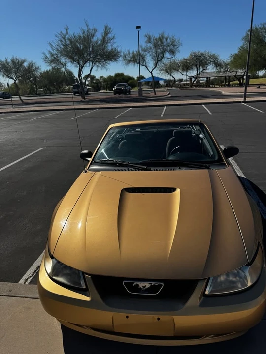 2000 Ford SN95 Mustang - Image 14 of 14