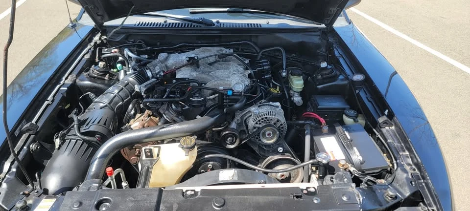 2000 Ford SN95 Mustang - Image 12 of 14