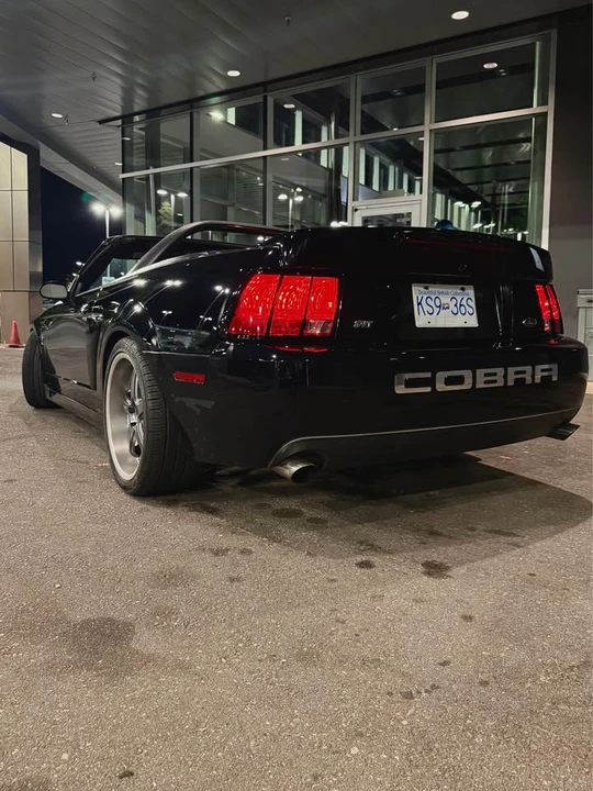 2000 Ford SN95 Mustang Cobra - Image 3 of 11