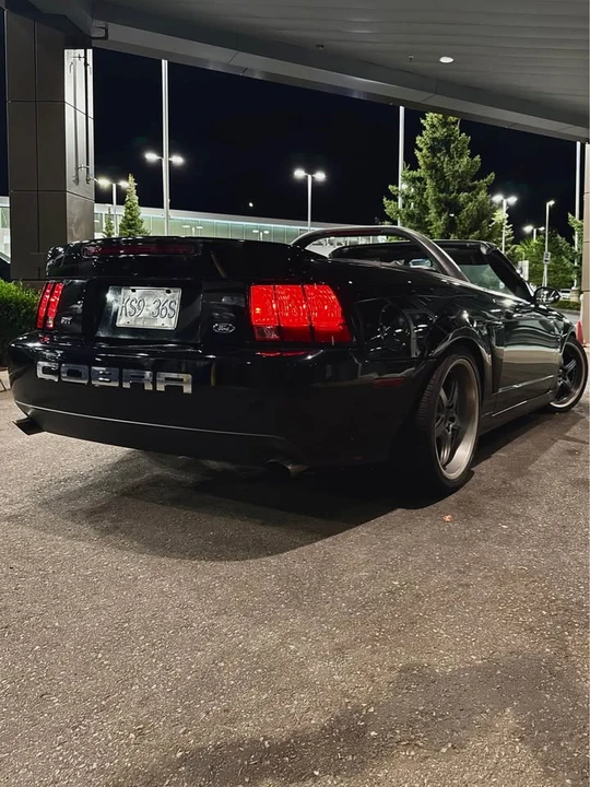 2000 Ford SN95 Mustang Cobra - Image 4 of 11