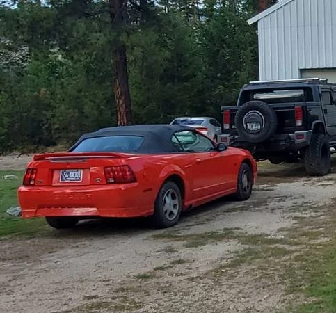 2000 Ford SN95 Mustang - Image 12 of 12