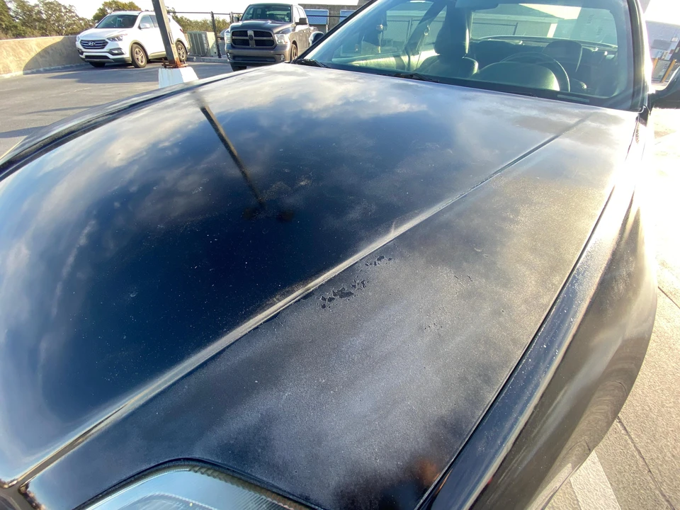 2000 Honda Prelude 5th Gen - Image 31 of 31