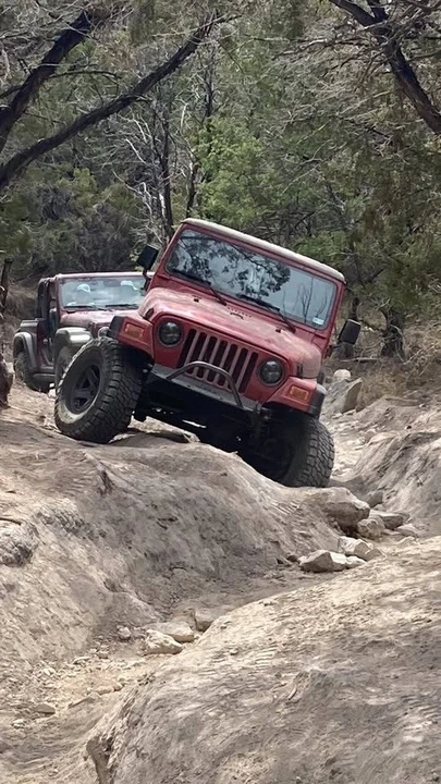 2000 Jeep TJ Wrangler - Image 9 of 11