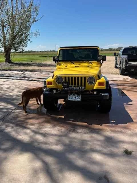 2000 Jeep TJ Wrangler - Image 5 of 16