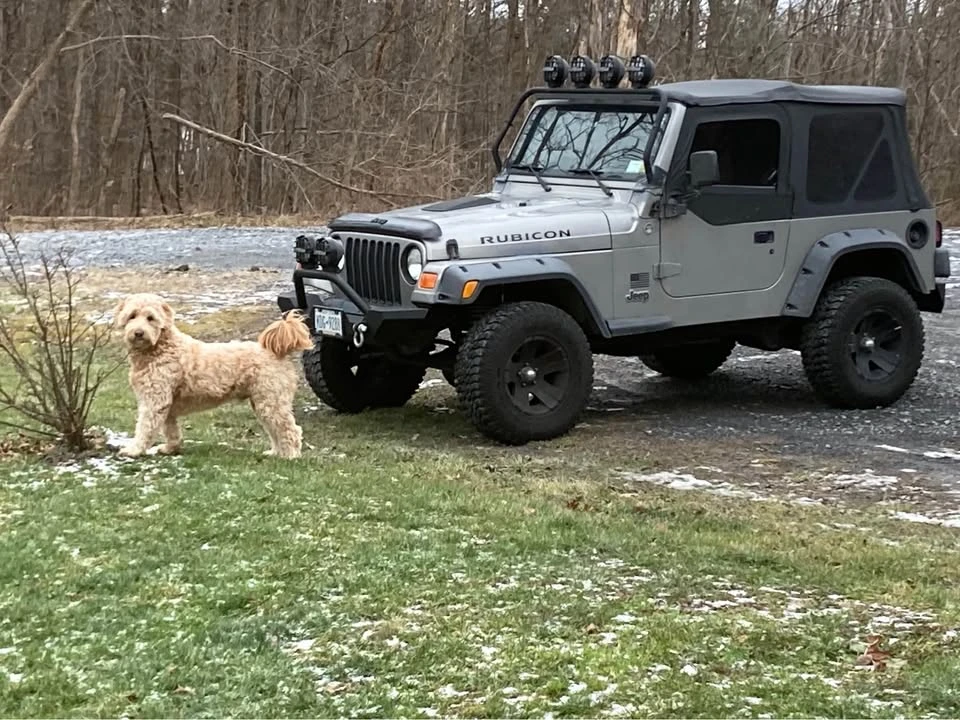 2000 Jeep TJ Wrangler - Image 2 of 7