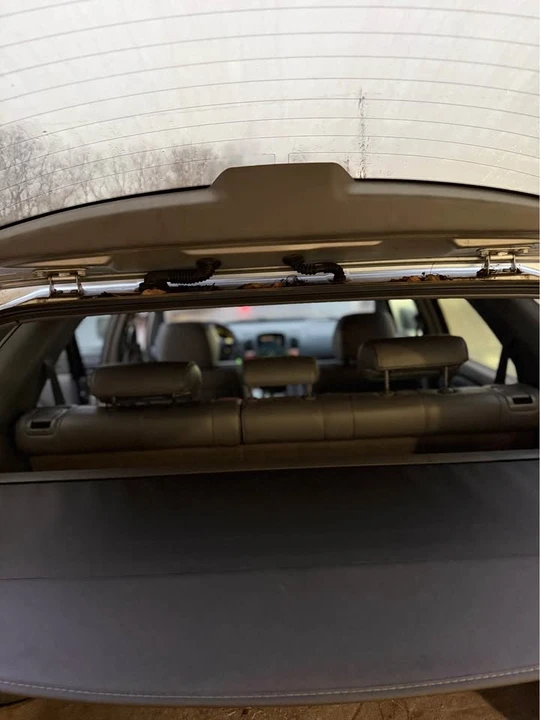 2000 Lexus RX 1st Gen - Image 10 of 14