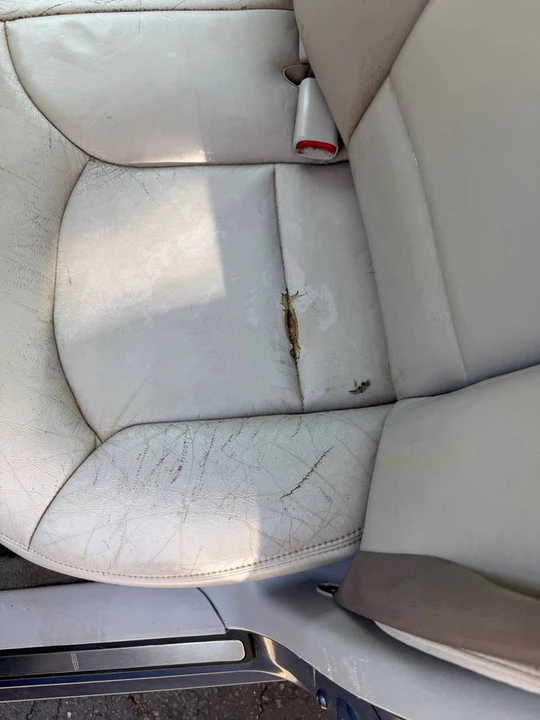 2000 Lincoln Continental 9th Gen - Image 12 of 12