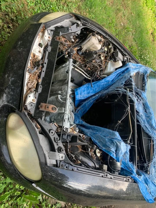 2000 Mazda NB MX-5 Miata - Image 6 of 6