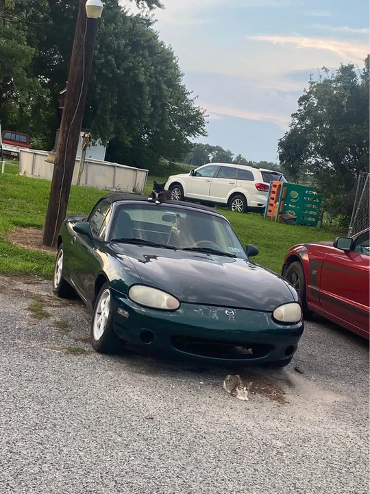 2000 Mazda NB MX-5 Miata - Image 8 of 11