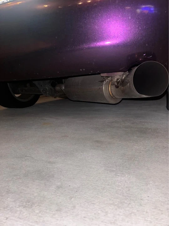 2000 Mazda NB MX-5 Miata - Image 7 of 9