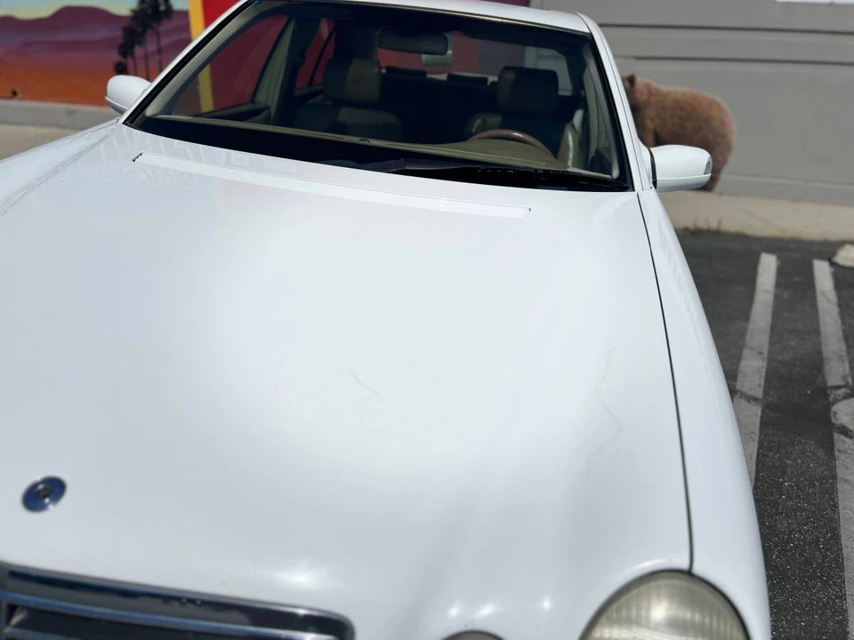 2000 Mercedes-Benz W210 E-Class - Image 7 of 22