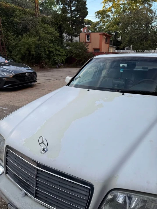 2000 Mercedes-Benz W202 C-Class - Image 5 of 12