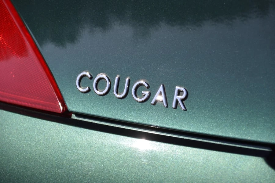 2000 Mercury Cougar 4th+ Gen - Image 8 of 31